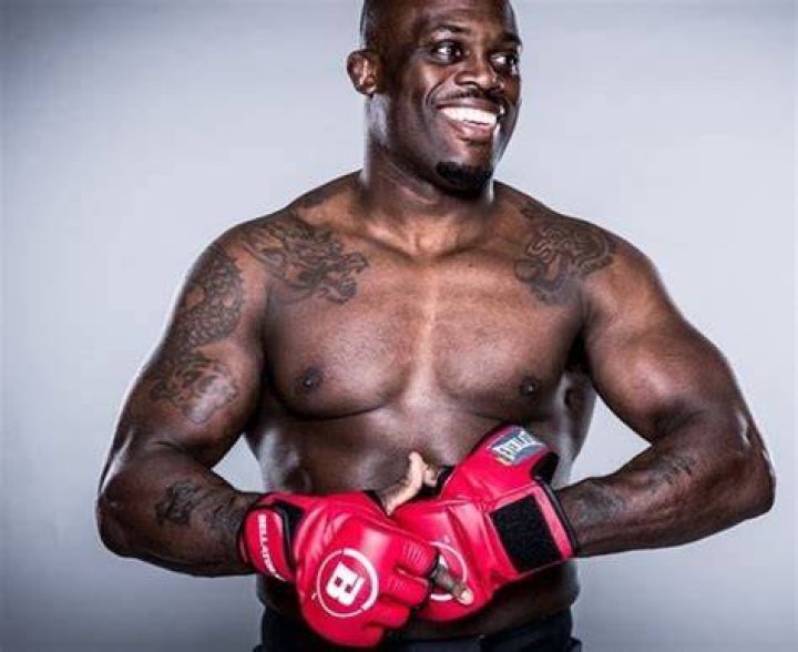 Melvin Manhoef Biography Line